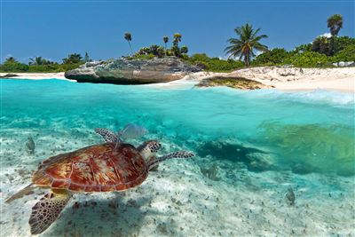 Mexiko Halbinsel Yucatan Playa Del Carmen Strand